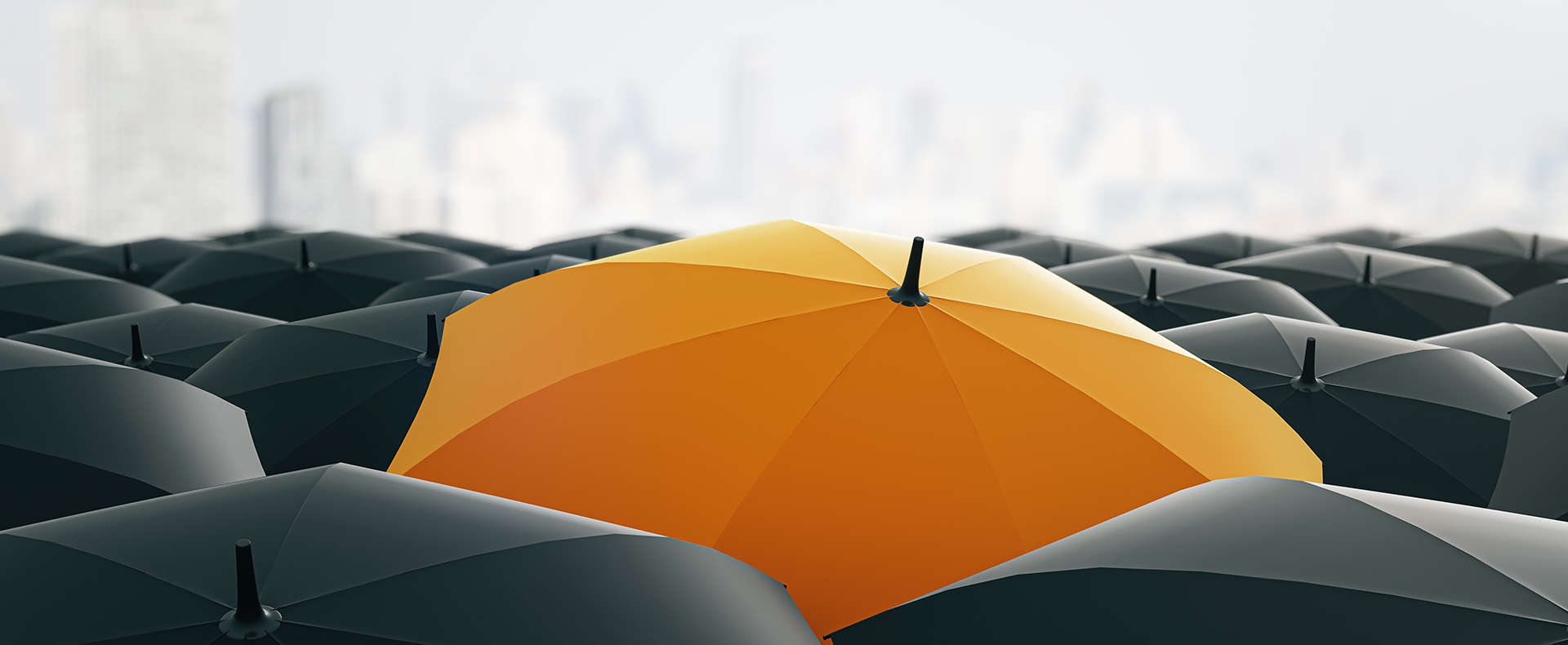 Presupuesto seguro de Responsabilidad Civil - Seguro de R.C